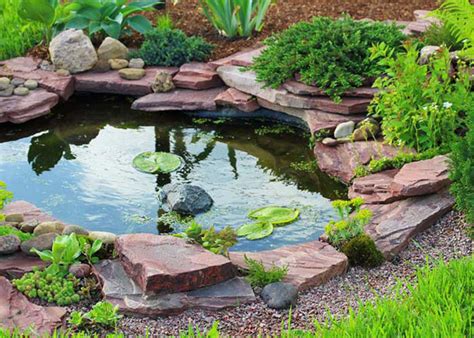 The recommended minimum size for dog parks varies considerably among cities, but is generally between. Summer Pond Maintenance - Johnsons Home & Garden Center