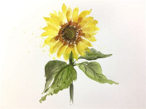 Steps To Painting A Loose Sunflower In Watercolour Iampoppy Designs