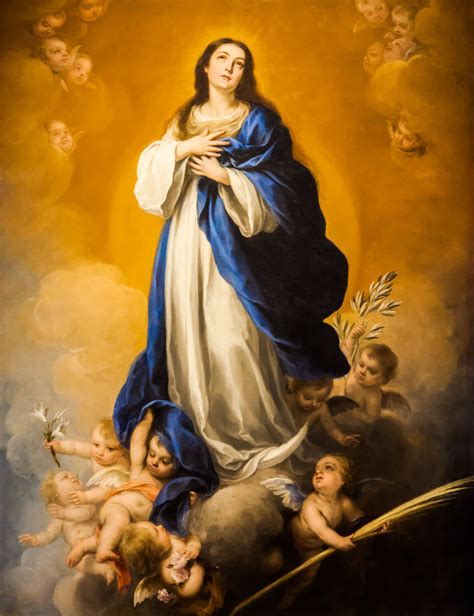 The Immaculate Conception Mother Of God