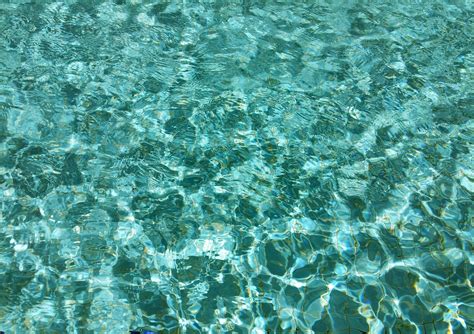 Free Images Sea Water Nature Ocean Texture Clear Underwater