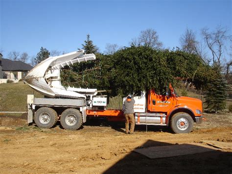 Shrub And Large Tree Transplanting Service Lehigh Valley Poconos Pa
