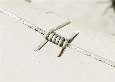 Types of antique barbed wire. Single Twist Type Antique Barbed Wire With A Variety Of ...