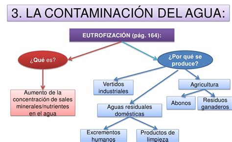 Mapa Conceptual De La Contaminacion Del Agua Creampie Images