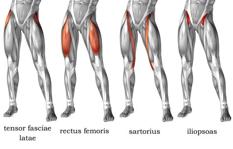 Tight Hip Flexors Stretches - Exercises for Pain Relief and to Loosen Hips
