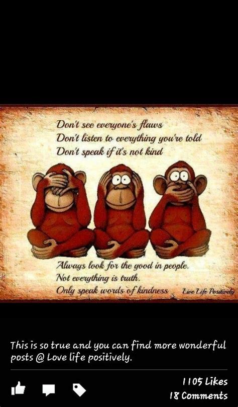 Funny Monkey Quotes And Sayings Quotesgram