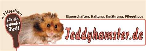 See more of teddyhamster on facebook. teddyhamster.de | Ausführliche Informationen über ...