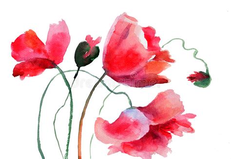Maybe you would like to learn more about one of these? Fiori Stilizzati Del Papavero Illustrazione di Stock ...