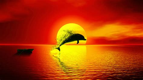 3840x2160 Dolphin Dispersion Sunset 4k 4k Hd 4k Wallpapers Images