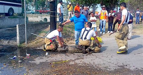Tamaulipas cocodrilo mata a una mujer que lavaba ropa en una laguna de tampico la señora jamás se percató de que el cocodrilo la acechaba. Cocodrilo causa terror en colonia de Tampico - nuevolaredo.tv