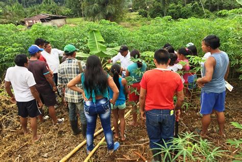 Instituto Colombiano Agropecuario Ica