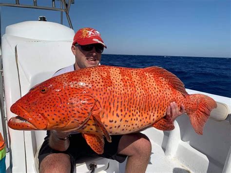 The Most Impressive Record Fish Caught In 2021 Mons Fishing