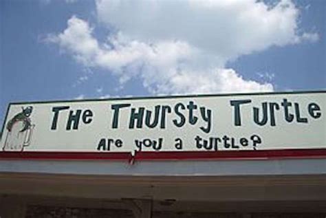 The thirsty camel serves up seriously good food and an even more serious bar party. Thursty Turtle: A San Antonio, TX Bar - Thrillist