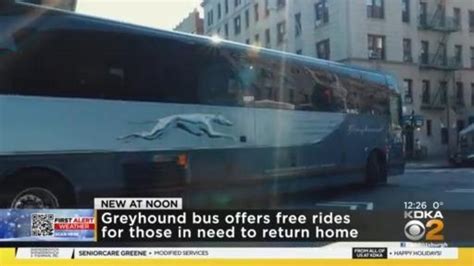 Greyhound Bus Inside 2022