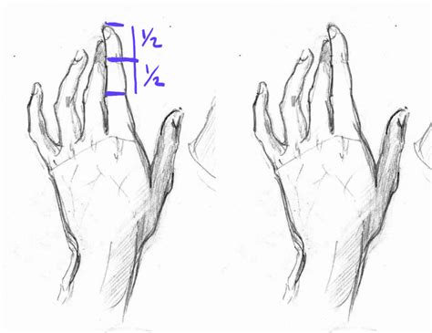 How To Draw Anime Hands A Step By Step Tutorial Two Methods GVAAT S WORKSHOP