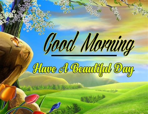 Best 1658+ Amazing good morning Pics Wallpaper Pictures Free Download