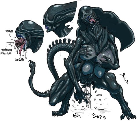 Nezunezu Alien Queen Xenomorph Alien Alien Series Aliens Translation