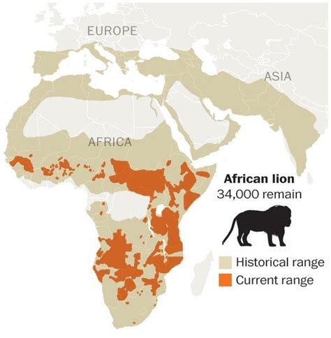 Where Lions Once Lived And Where They Live Today Amazing Maps