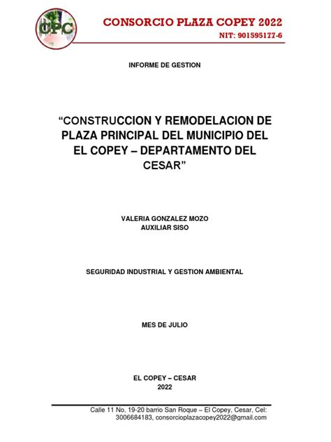 Informe Mes Julio Siso Pdf