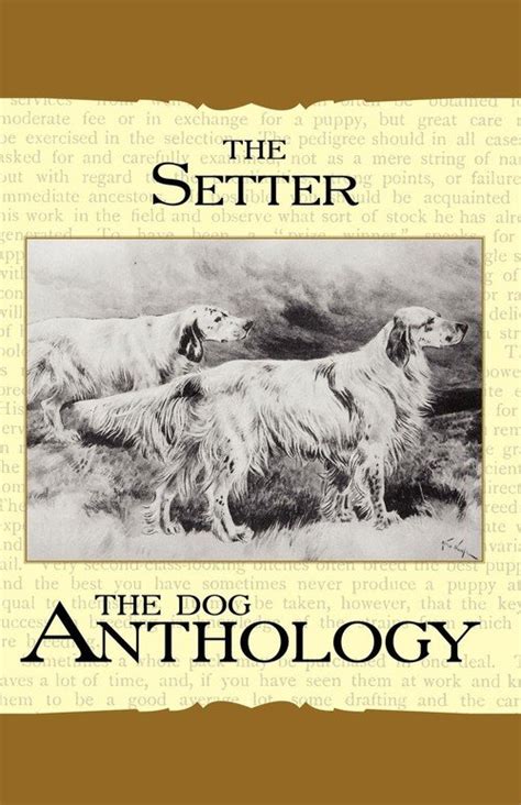 The Setter A Dog Anthology A Vintage Dog Books Breed Classic