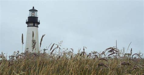 Check spelling or type a new query. Wendee Carpenter - Salem, Oregon, Willamette Valley Animal ...