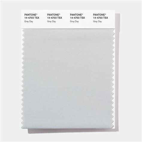 Pantone 14 4703 TSX Gray Day Polyester Swatch Card Design Info