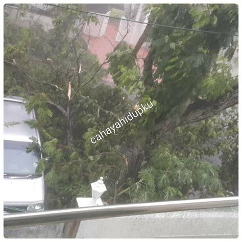 Pokok hempap kereta akibat dipukul ribut. CAHAYA HIDUPKU: PENGALAMAN BERHADAPAN DENGAN HUJAN RIBUT ...
