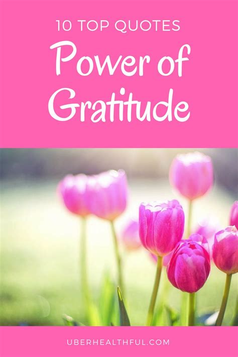 Best Inspirational Quotes On The Power Of Gratitude Learning To