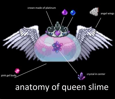 anatomy of queen slime terraria