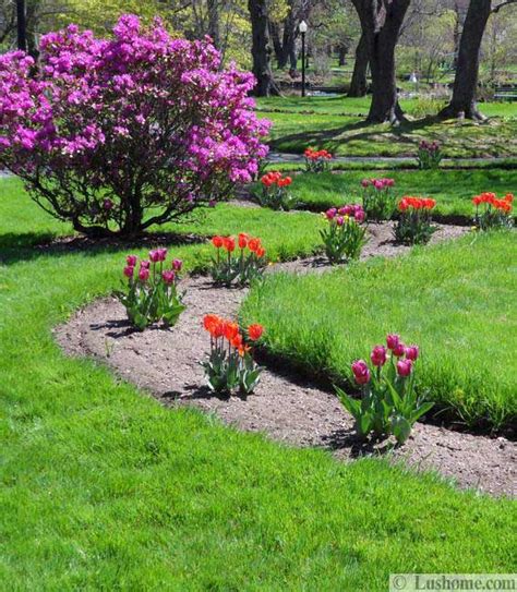 Spring Flowers And Yard Landscaping Ideas 20 Tulip Bed