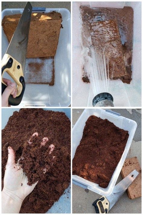 Vermicomposting 101 How To Make And Maintain A Simple Worm Bin