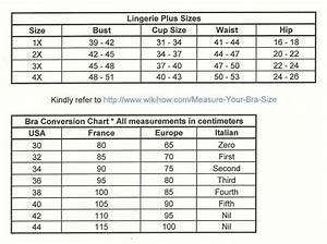 Curvylicious Plus Size Bra Sizing Chart