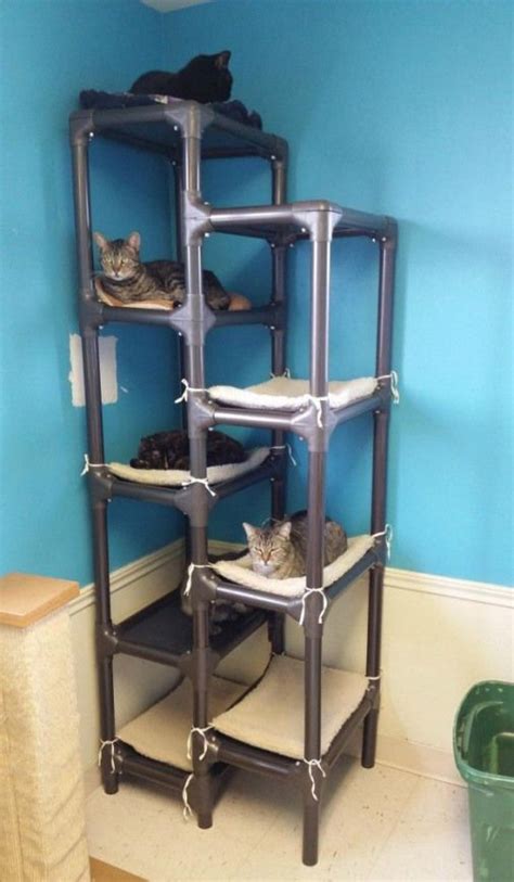 The Kuranda Cat Tower Is A Practical Cat Tree Product The Durable Pvc