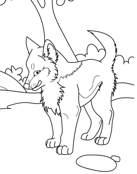 Baby Wolf Coloring Pages Home Design Ideas