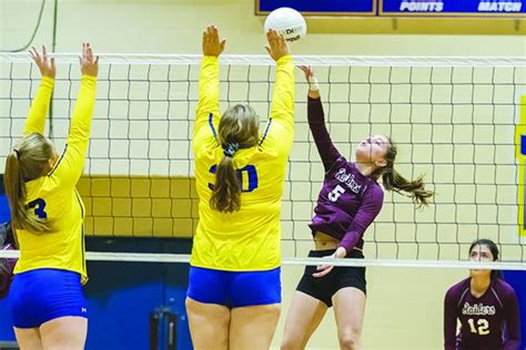 Prep Volleyball Raiders Sweep Pair From Hawthorne Palatka Daily News