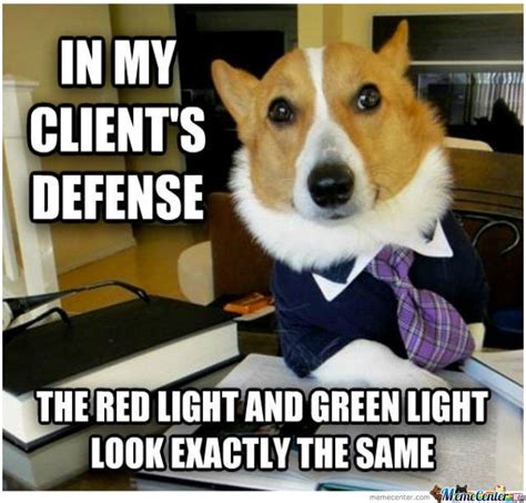 That Dog Makes A Good Lawyer Xd Dog Memes Funny Dog Memes Lawyer Jokes