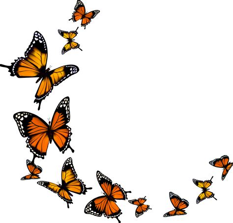 Butterfly Svg Monarch Butterfly Svg Butterfly Cliparts Etsy My Xxx Hot Girl