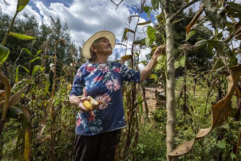 Mujeres Campesinas La Fuerza Que Sostiene Oxfam Colombia