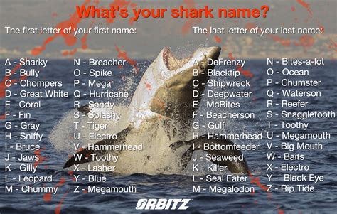 Quiz Whats Your Shark Name Huffpost Life