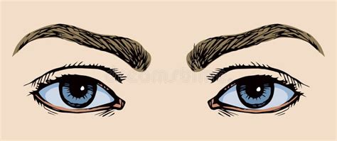Occhio Segno Dellicona Del Disegno Di Vettore Illustrazione Vettoriale