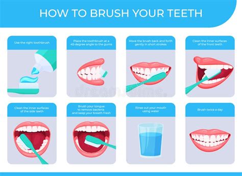 How To Brush Your Teeth Step By Step Instruction Infographic Poster