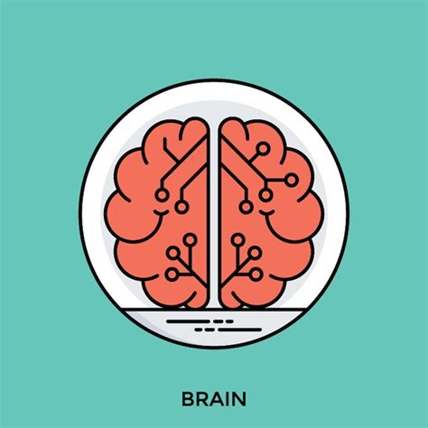 Premium Vector Brain