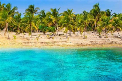 Nature Beach Tropical Sea Palm Trees Sand Turquoise Water