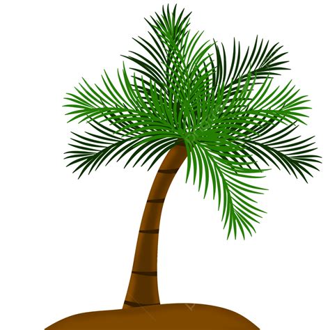 Coconut Illustrations Png Transparent Coconut Tree Illustration