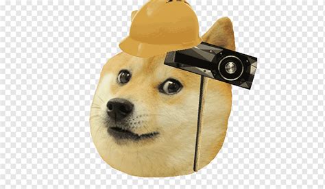 Shiba Inu Doge Snake Test Game Meme Outros Carnivoran Cachorro Like