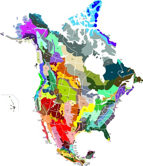 Terrestrial Ecoregions Of North America Vivid Maps North America