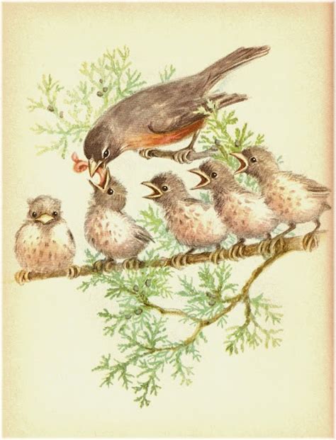 Vintage Bird Print For The Birds Pinterest