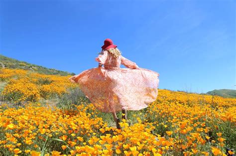 Mar 27, 2020 · fda approved epidiolex (cannabidiol) oral solution, the first drug comprised of an active ingredient derived from marijuana, to treat two rare and severe forms of epilepsy. 6 Best SUPER BLOOM Places to See the in California - My ...