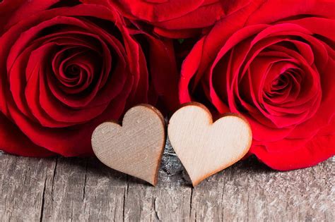Hd Wallpaper Photography Love Flower Heart Red Flower Red Rose