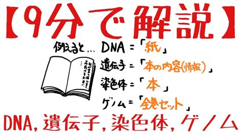 生物基礎 第2章 Dna、遺伝子、染色体、ゲノム News Wacoca Japan People Life Style