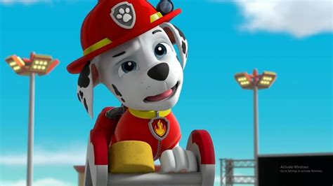 Paw Patrol Full Episodes Paw Patrol Season 6 Episodes 32 Youtube